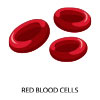 Red Blood Cells