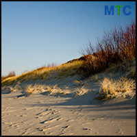 Curonian Spit dunes