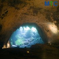 Rio Camuy Caves