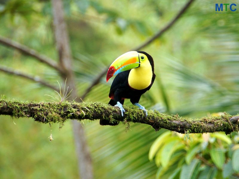 National park in Liberia