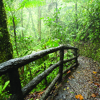 Manuel Antonio National Park