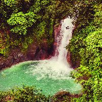 Sarapiqui Canopy